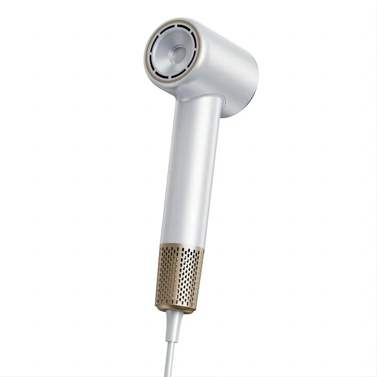 Sèche-cheveux professionnel personnalisé